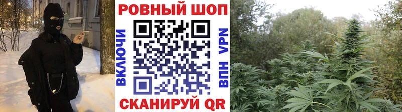 Где купить Бийск Alpha-PVP Бутират КОКАИН МЕФ