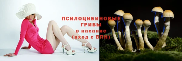 наркотики Бородино